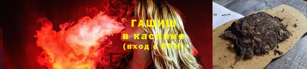 гидра Богородск