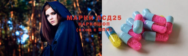 гидра Богородск