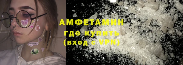 гидра Богородск
