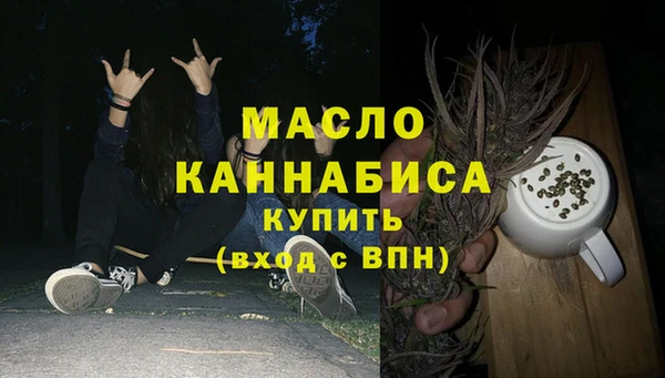 гидра Богородск