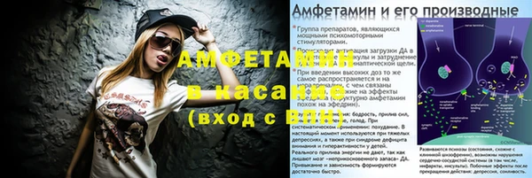 гидра Богородск