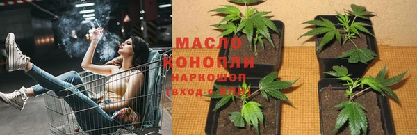 гидра Богородск
