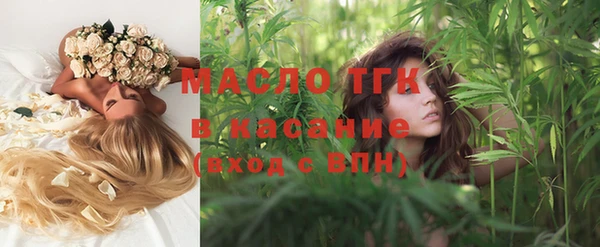 гидра Богородск